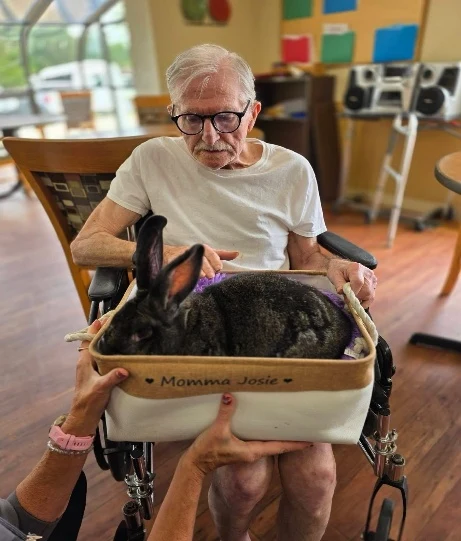 Hospice resident in wheelchair smiling while holding therapy rabbit Momma Josie in a cozy snuggle basket